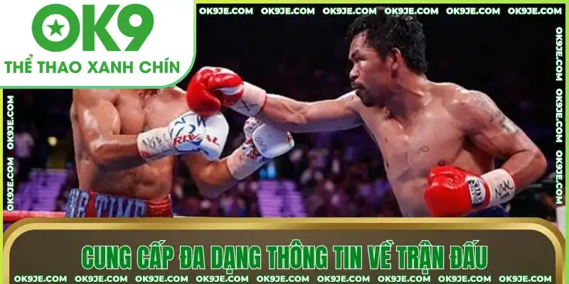 Cung cấp đa dạng thông tin về trận đấu Cung cấp đa dạng thông tin về trận đấu